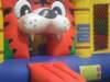 sam_0080_small.jpg