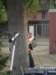 sam_0110_small.jpg