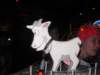 carnaval071_small.jpg