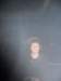 _5_glnj_small.jpg